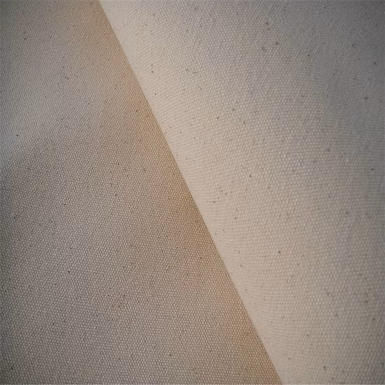 Canvas Fabric for Bag Hat Dance Shoes T/C80/20 21/2X21/2 68X48